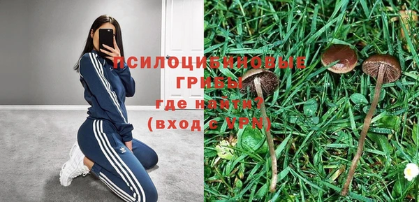 синтетический гашиш Балахна