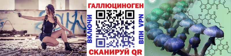 даркнет официальный сайт  Кохма  Псилоцибиновые грибы Psilocybe 